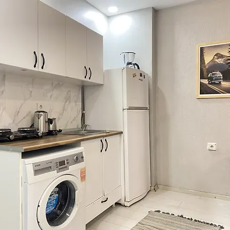 Lejlighed Cozy Modern 1br - Prime Taksim Location